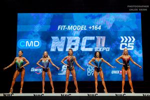 FIT-MODEL +164 раунд 1